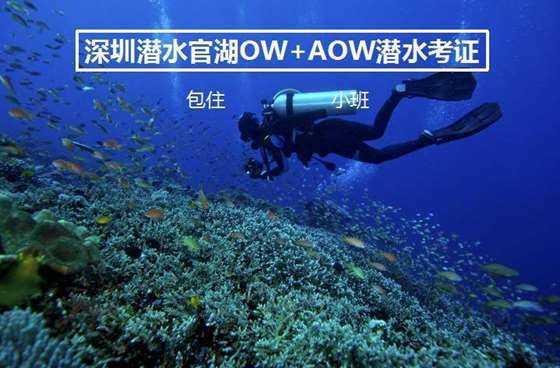 央视《走遍中国》栏目来青岛啦！就在明天！